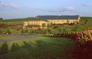 Vintage Vineyards Tour